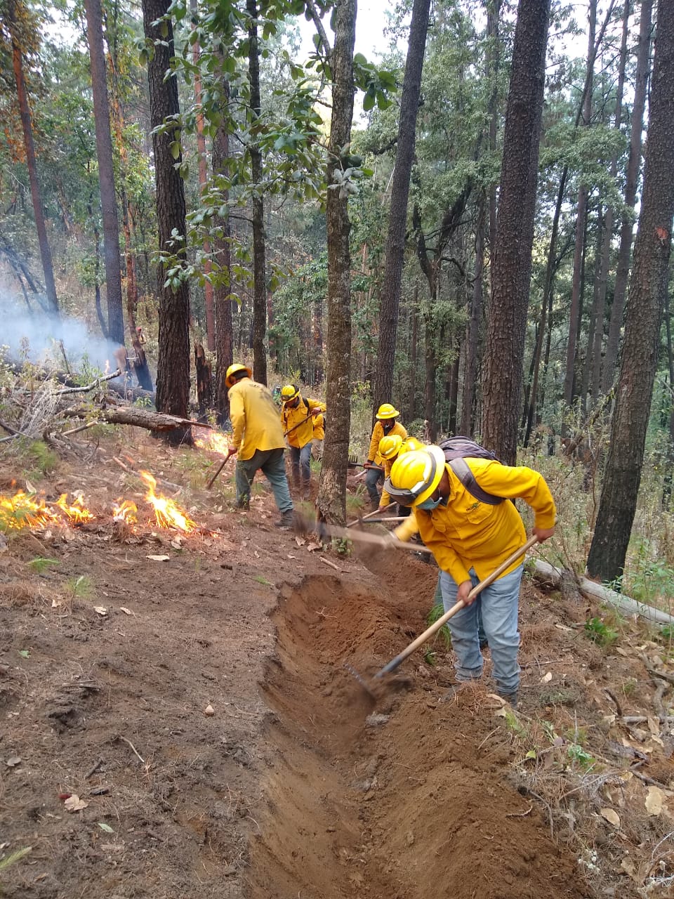 Refuerza Probosque trabajo interestatal para la prevención y combate de incendios forestales en zonas limítrofes