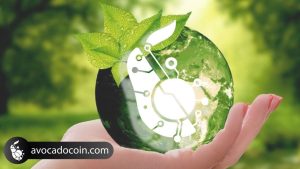 AvocadoCoin facilita la agricultura sostenible de aguacates a nivel global