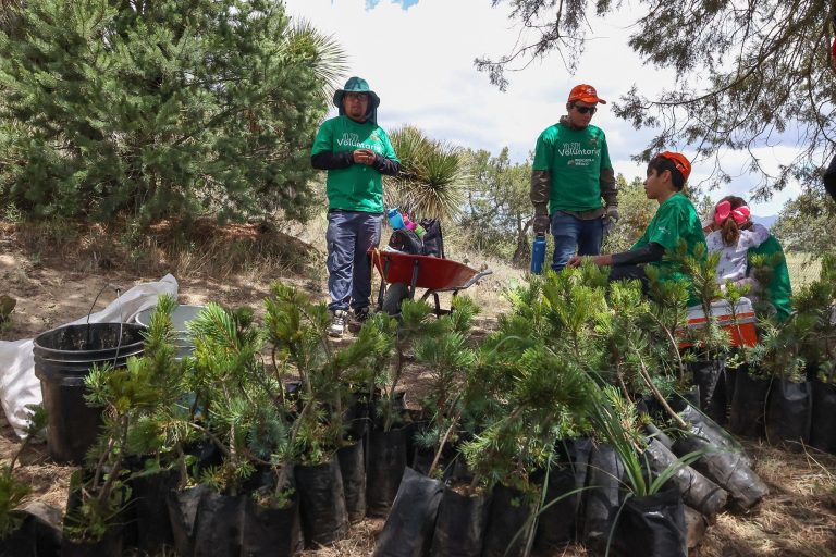 Iberdrola suma más de 1,800 acciones en biodiversidad en los últimos dos años, según informe de 2024