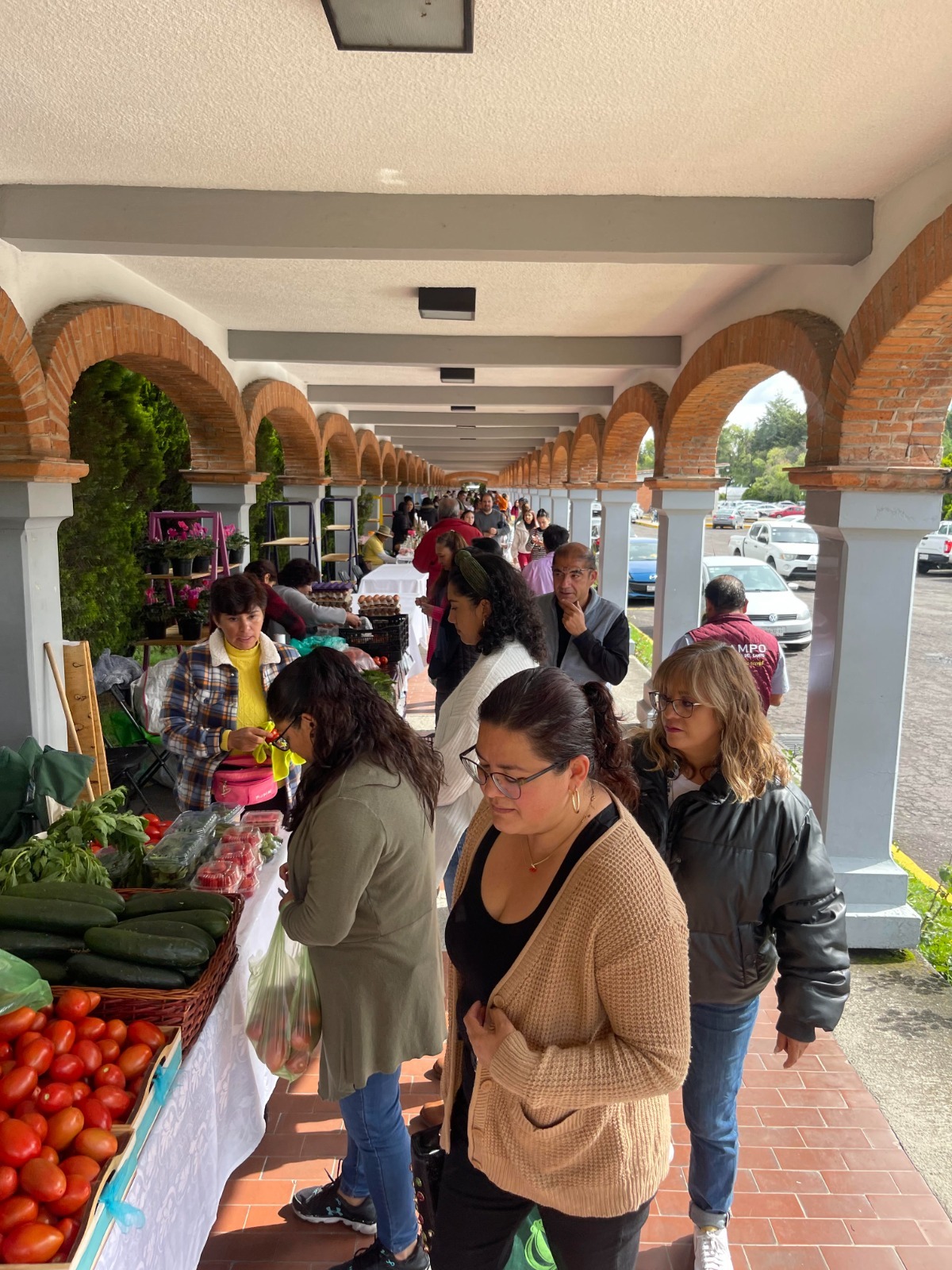 Secretaría del Campo impulsa comercio local a través de “Mi Tianguis Colibrí” itinerante