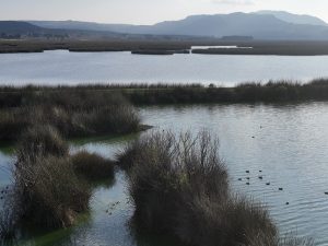 Promueve Secretaría del Agua modelo de gestión sostenible y eficiente en Primera Jornada del Agua en el Estado de México