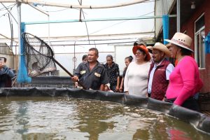 Secretaría del Campo activa apoyos para invernaderos y piscicultores mexiquenses ante fenómenos climatológicos