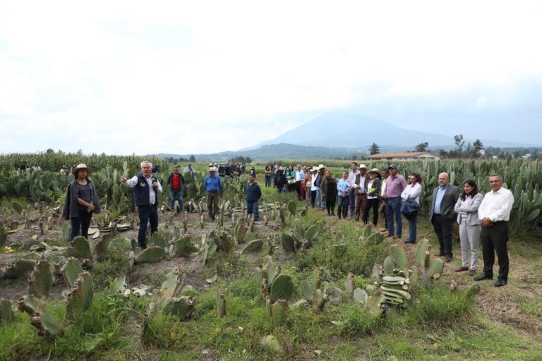 Avanza Icamex en trabajos e investigaciones a favor del campo mexiquense