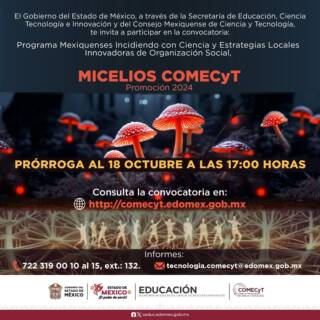 Invita Comecyt a sumarse al programa Mexiquenses Incidiendo con Ciencia y Estrategias Locales Innovadoras de Organización Social