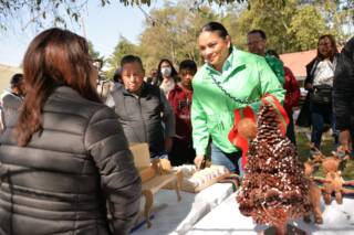 Esta Navidad decora tu hogar con árboles naturales y artesanías del municipio de Xonacatlán