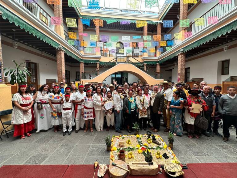 Promueve GEM uso de la medicina tradicional de los pueblos originarios