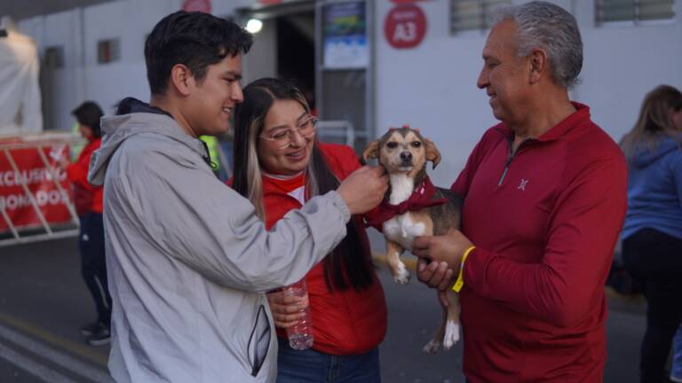 Los seres sintientes no son juguetes para regalar en Navidad; recomienda Cepanaf la adopción responsable de animales de compañía