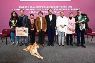 ¡Que la Navidad sea un acto de amor para los seres sintientes! Instala Gobernadora Delfina Gómez Álvarez centro de acopio de alimento para lomitos y michis