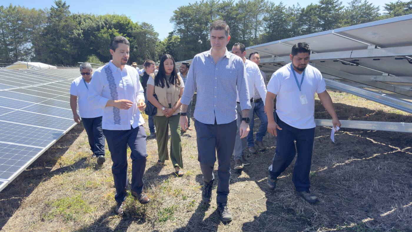 Bayer impulsa la sostenibilidad con nueva planta solar en su sitio de producción de semillas en Chiapas