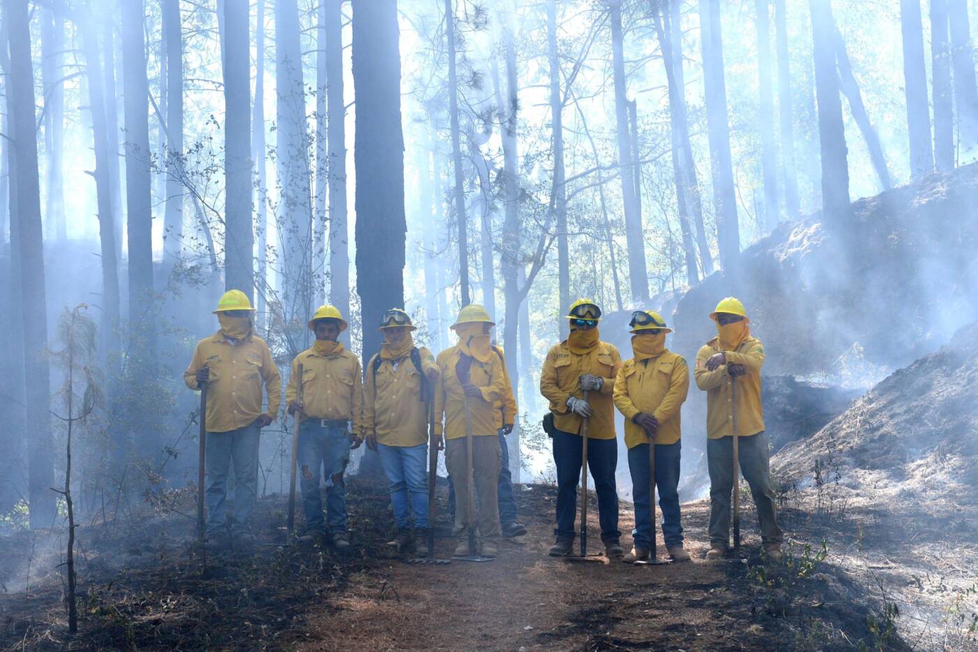 ¡Prevenir es mejor que combatir! EdoMéx listo para atender incendios forestales con brigadistas federales, estatales y municipales