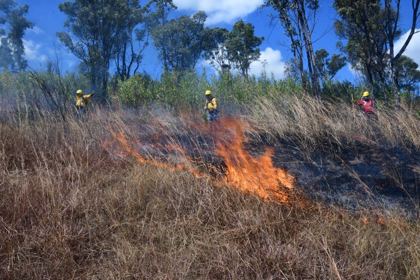 Refuerza GEM brigadas de atención a incendios forestales, con motivo de fiestas patronales y de Semana Santa