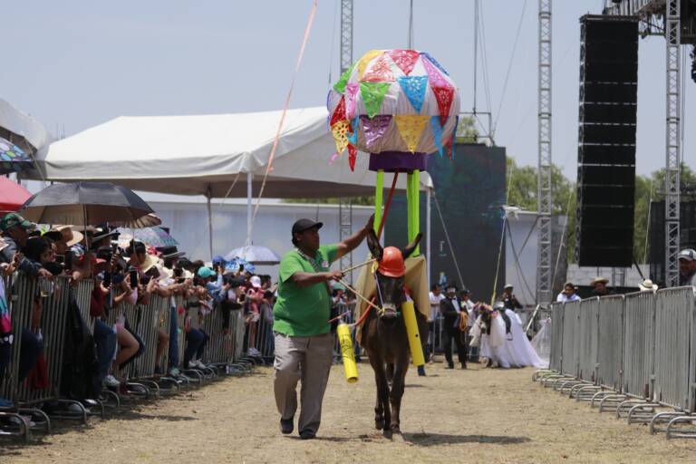 Aparta este fin de semana para disfrutar de las ferias, festivales y eventos de turismo deportivo que habrá en el EdoMéx