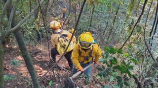 Registra EdoMéx menos del 1% del área forestal afectada en la temporada de incendios; la mayoría han sido en pastizales
