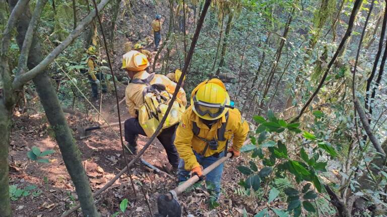 Registra EdoMéx menos del 1% del área forestal afectada en la temporada de incendios; la mayoría han sido en pastizales