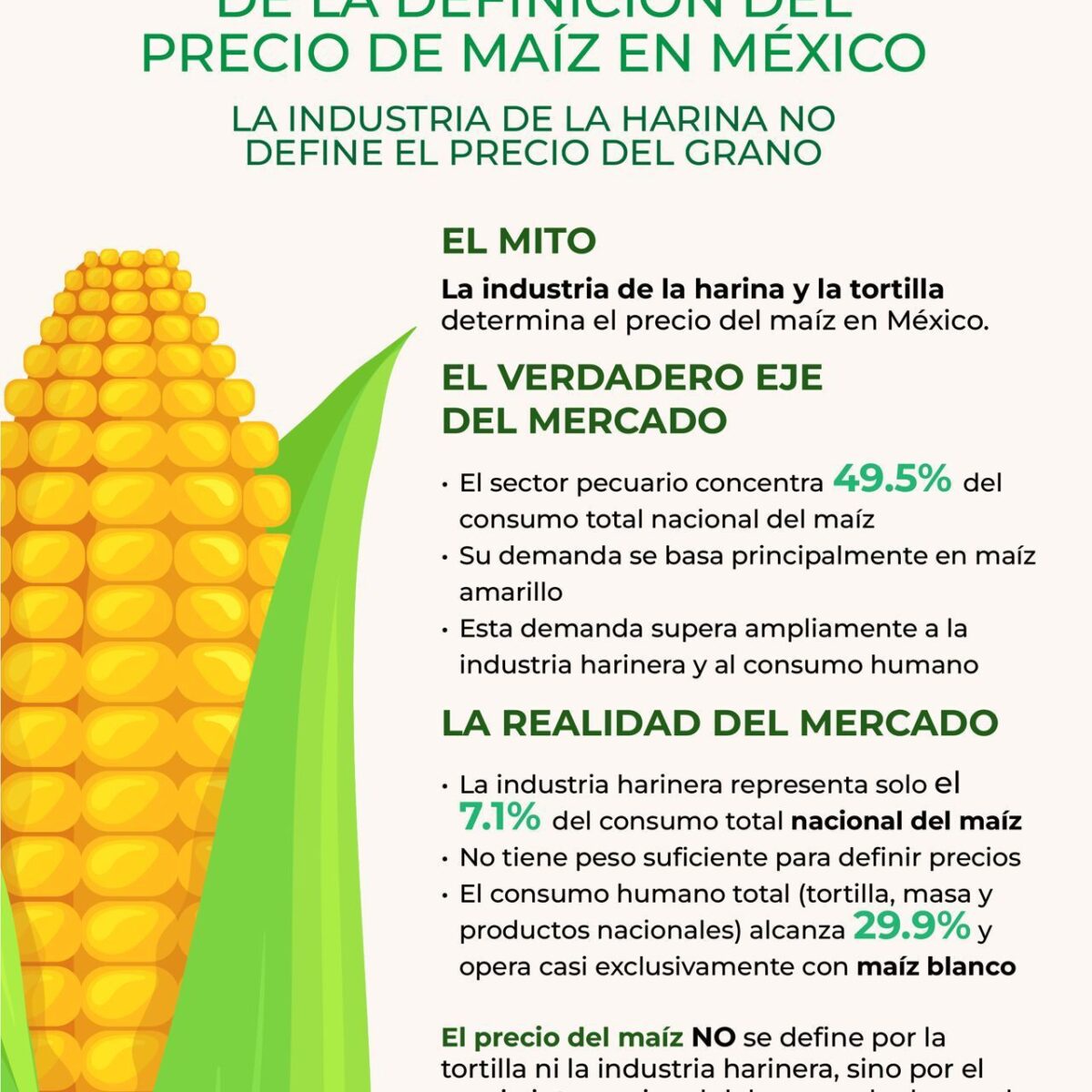 El sector pecuario concentra 49.5 % del consumo de maíz en México: GCMA